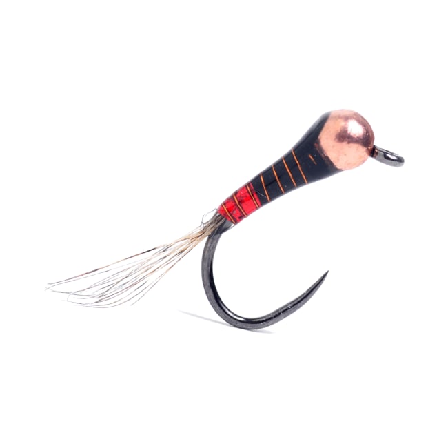 Guideline Red Butt Perdigon
