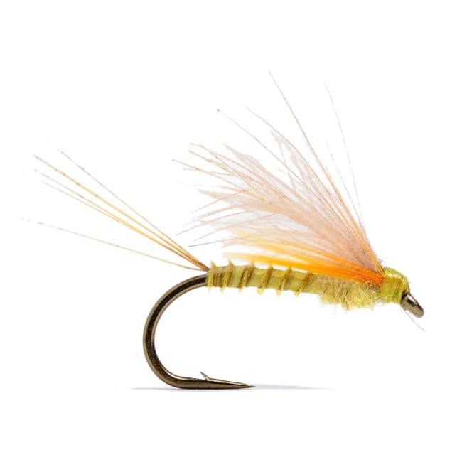 Guideline CDC Biot Dun Emerger PMD