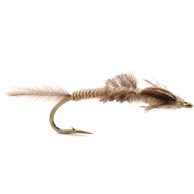 Umpqua Vulgata Nymph #8