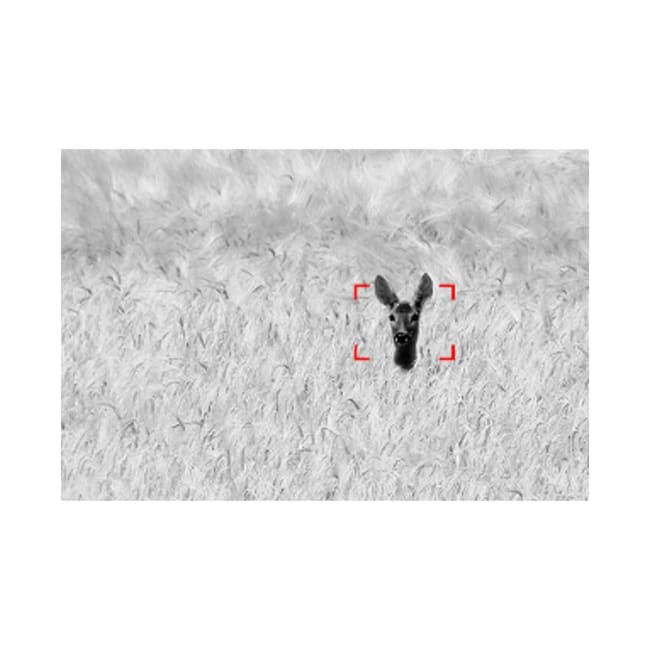 Zeiss Termisk spotter DTI 3/35 - slideshow 10