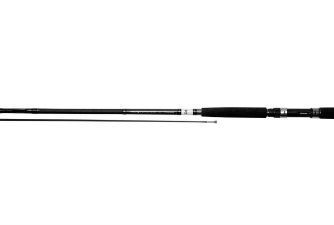 Daiwa Sea Hunter Z Interline 2-delt Planerboard 7'