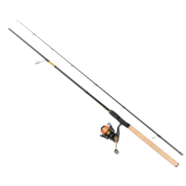 Daiwa Procaster RS Combo