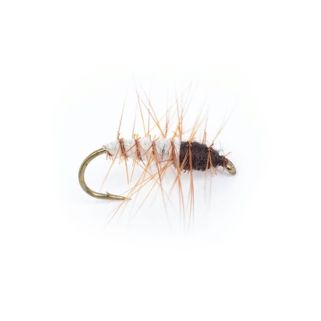 Umpqua Superpuppan Cream/Brown