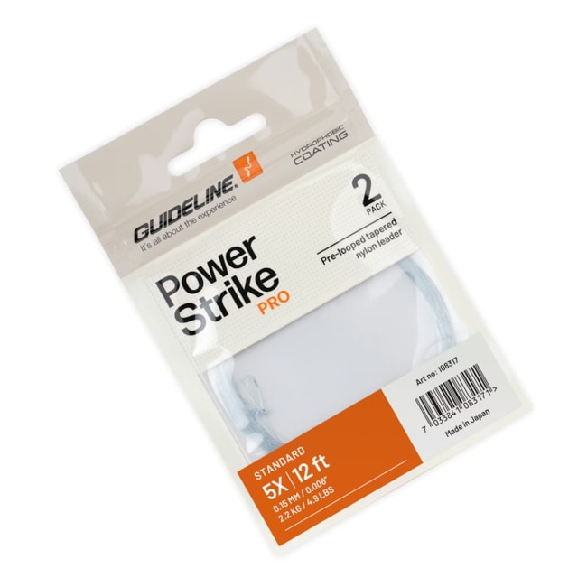 Guideline Standard 12