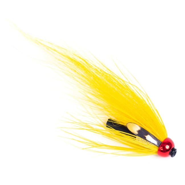 Guideline Kontrolla Fly