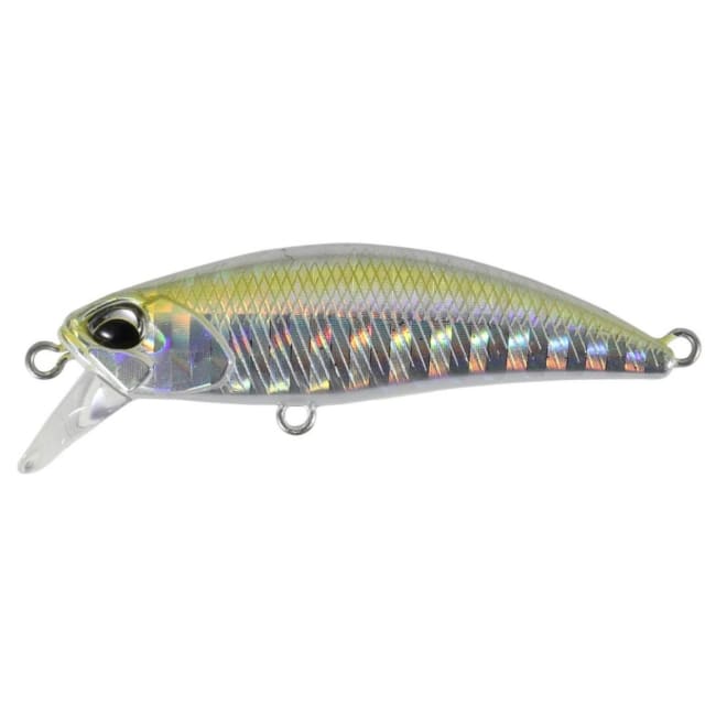 DUO Tetra Works Toto 48HS AHA0149 Baby Aji