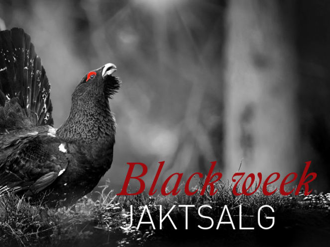 Black Week Jakt