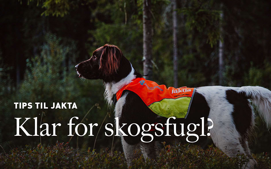Skogsfugl