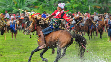 Penunggang kuda Pasola membawa sepasang lembing kayu sambil melintasi arena berumput berair di Sumba (2014).