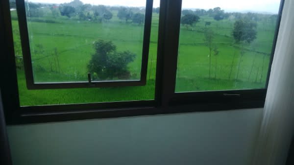Pemandangan-sawah-menghijau-dari-jendela-Hotel-DPraya