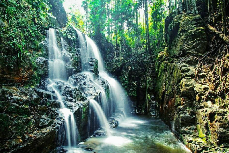 Bukit Betabuh, Potensi Memukau Hutan Riau yang Wajib Dijaga