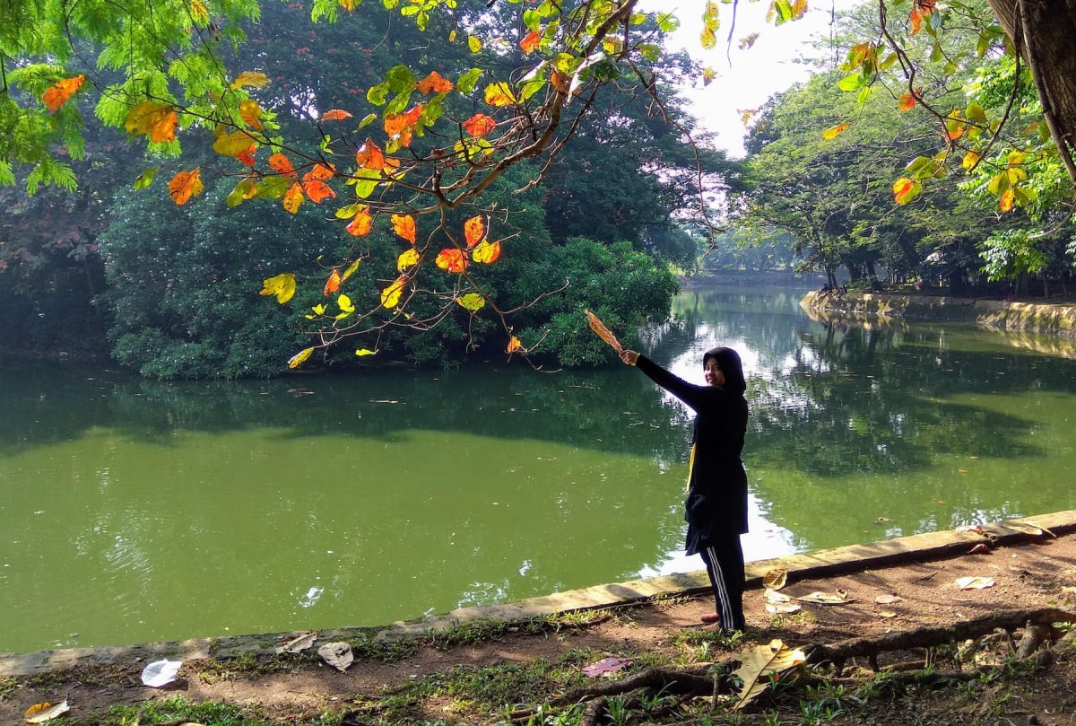 Hutan Kota Srengseng, Pelepas Penat Penggugah Semangat