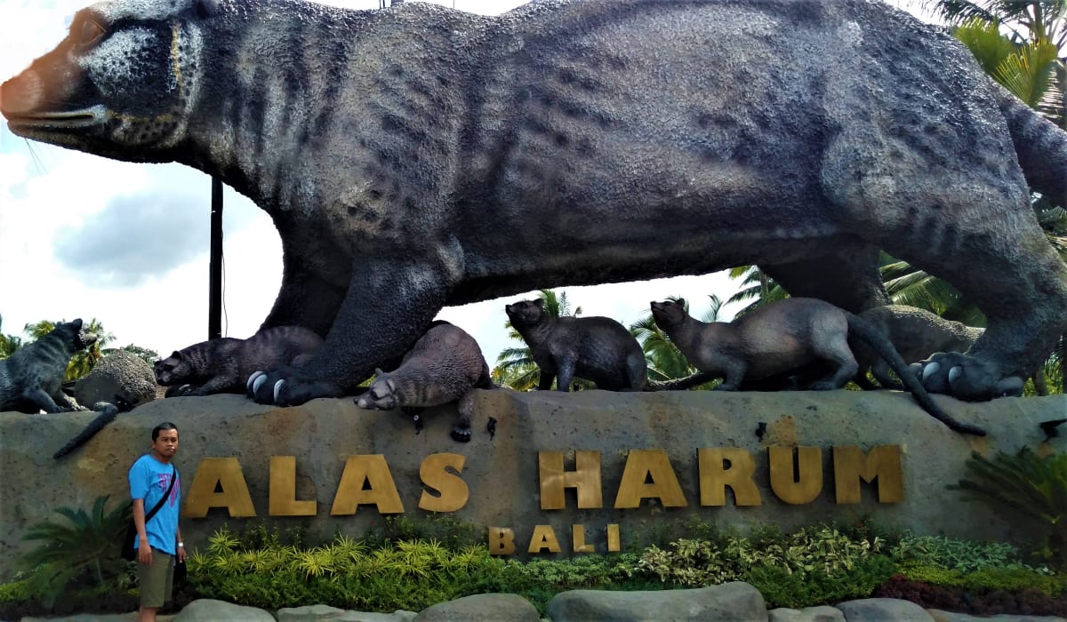 Alas Harum Bali, Wisata Desa Penuh Nuansa Hijau Menyegarkan Mata