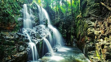 Bukit Betabuh, Potensi Memukau Hutan Riau yang Wajib Dijaga