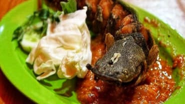 Menyaksikan Aksi Koki Pecel Lele yang Tak Kalah dengan Chef Ternama