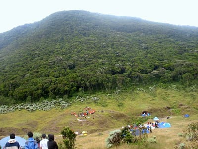 Suryakencana Gn. Gede