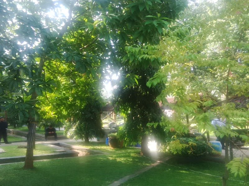 Taman yang rindang, Taman Maya Datar, Purwakarta