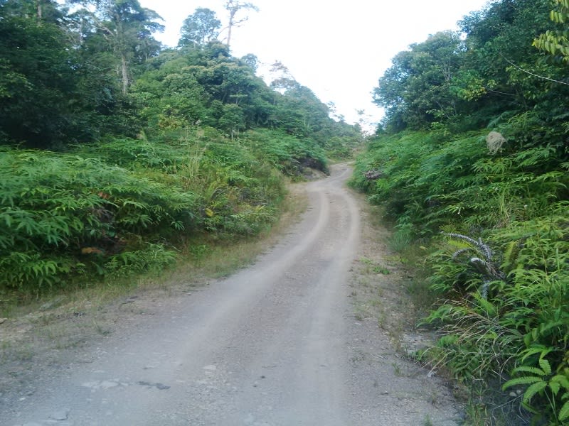 Jalan menuju pos TNI di perbatasan, turun naik bukit, melewati hutan dengan tanjakan curam