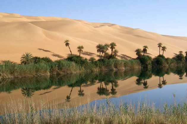 Sahara oasis Sahara oasis
