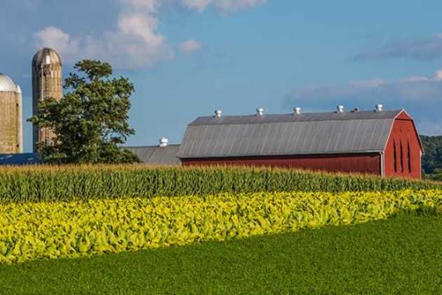 Arkansas farm Arkansas farm
