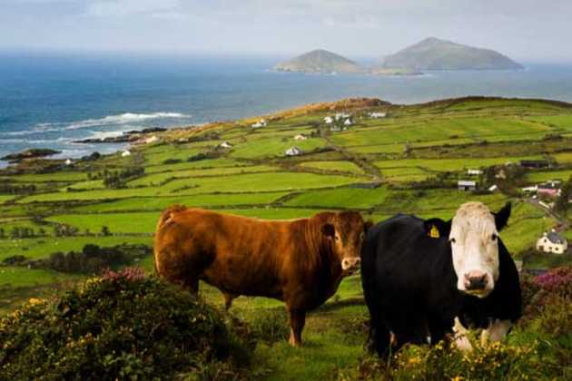 Ireland farm Ireland farm