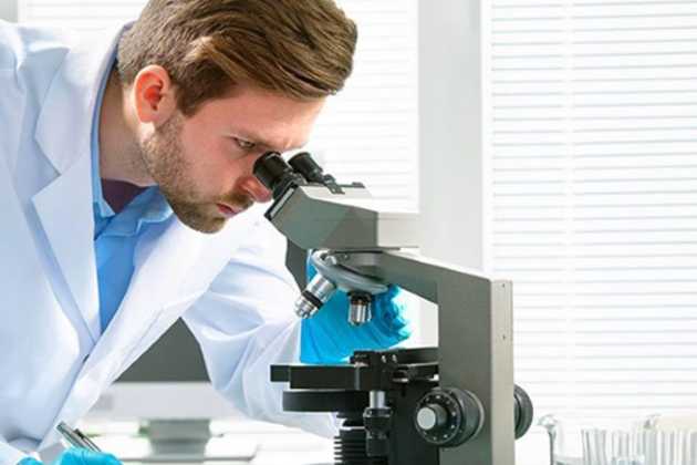 U.S. Stem Cell U.S. Stem Cell