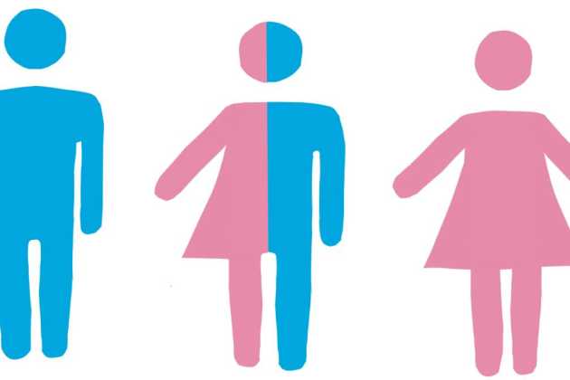 Genders Genders