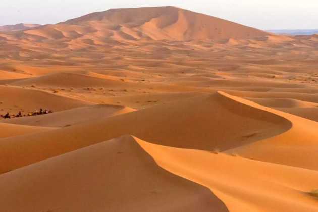 Sahara Sahara