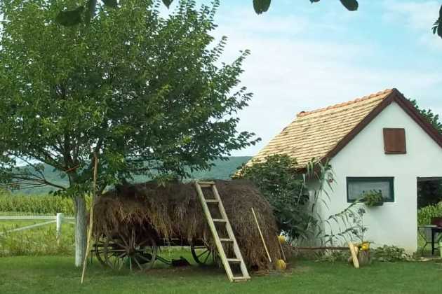 Serbia farm Serbia farm