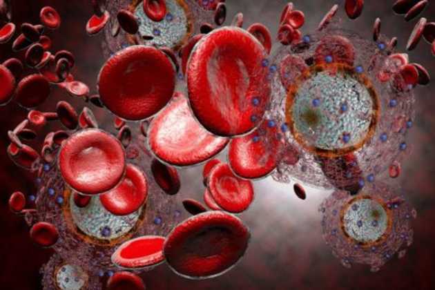 HIV HIV