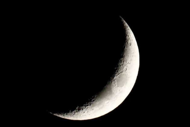 moon moon