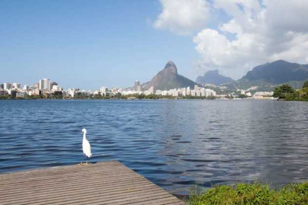 Rio Rio