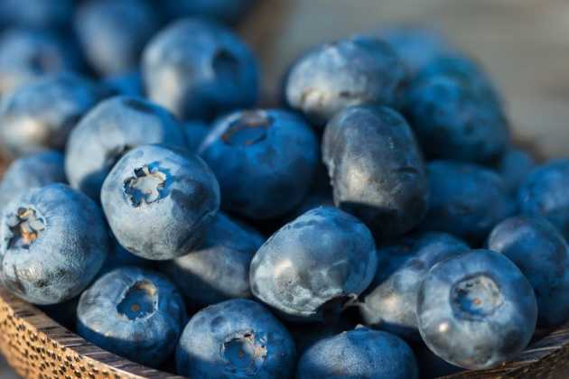 Blueberries Blueberries