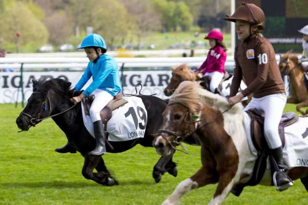 Dimanches au Galop Dimanches au Galop