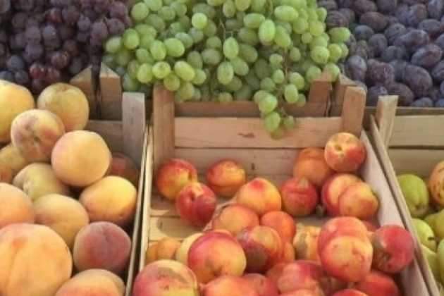 Fruit Fruit