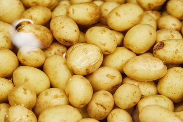 potatoes potatoes