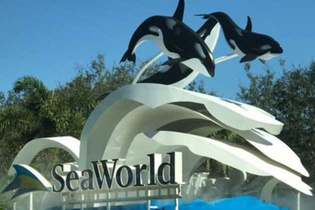 SeaWorld SeaWorld