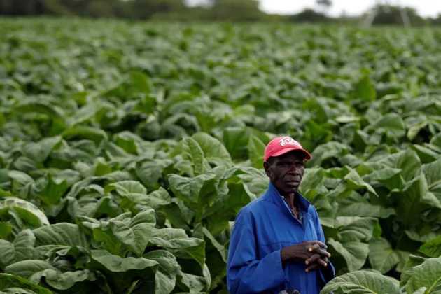 Farmers in Zimbabwe Farmers in Zimbabwe