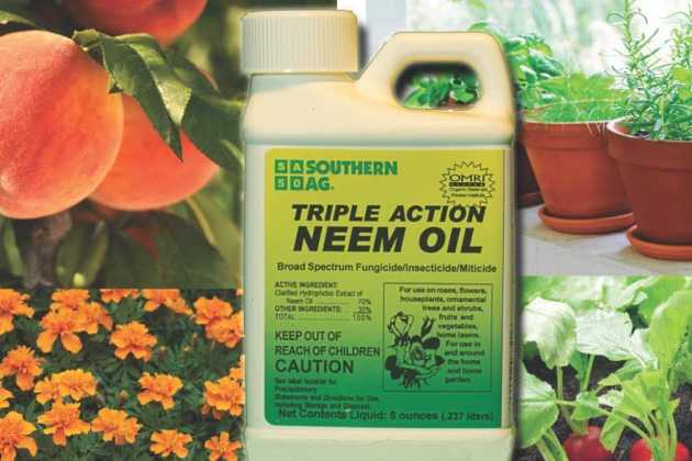 Triple Action Neem Oil Triple Action Neem Oil
