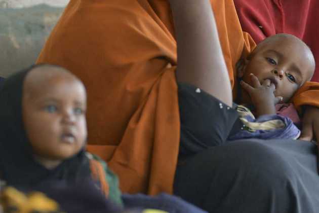 Cameroon cholera Cameroon cholera