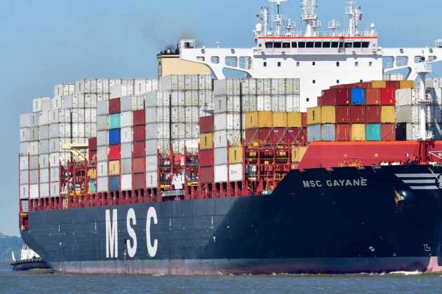 MSC Gayane MSC Gayane