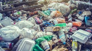 Sri Lankans Demand Uk Take Back Rotting Waste News Post Online