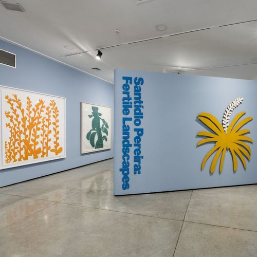 Exposição “Santídio Pereira: paisagens férteis” 
