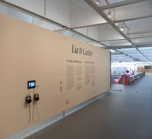 Exposição “Lia D Castro: em todo e nenhum lugar”