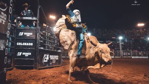 Calendário de Rodeios em São Paulo em 2024