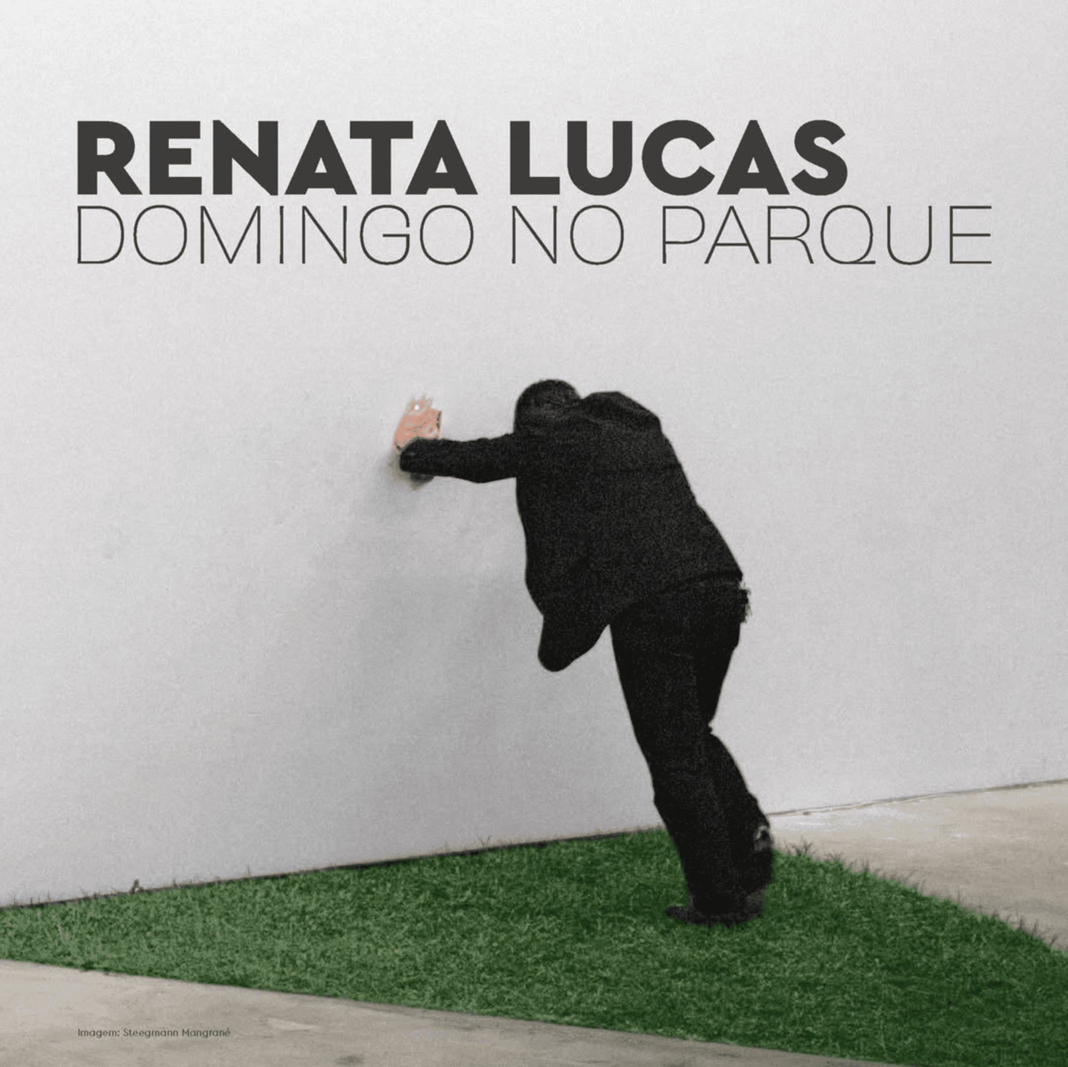 Renata Lucas: domingo no parque