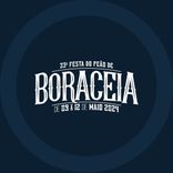 Festa do Peão de Boracéia - Review