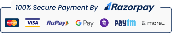 100% Secure Payment