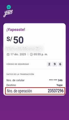 Ejemplo de Pago