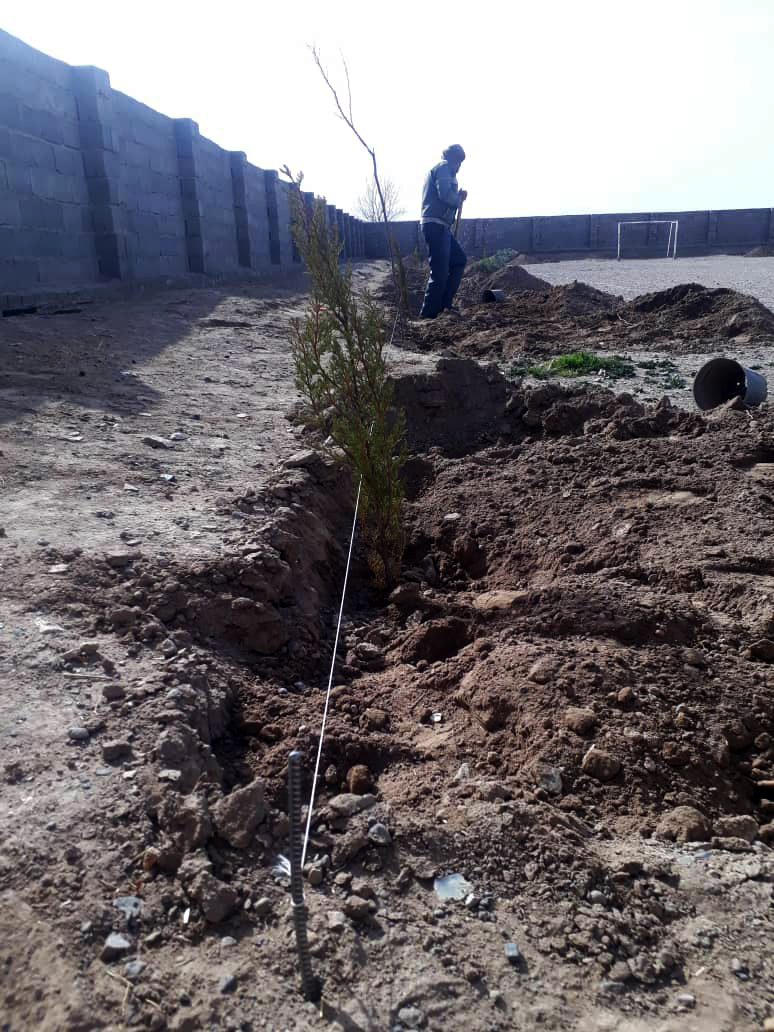 project_tree_planting_PHOTO-2020-03-09-12-29-07.png